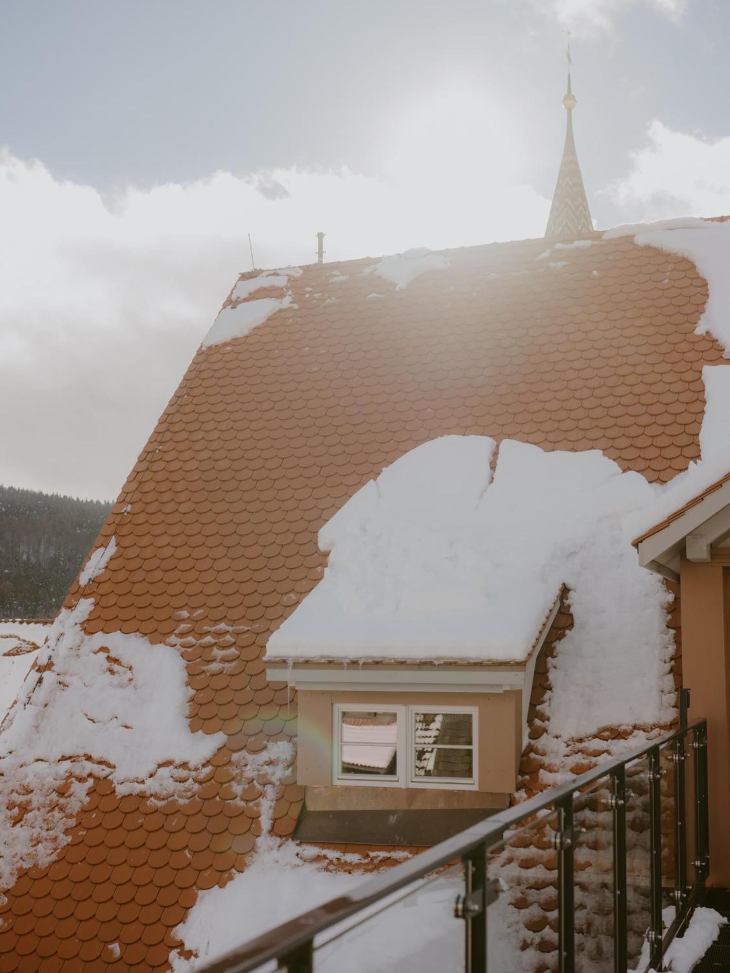 1280 Krone Geisingen Bagian luar foto